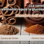 Comparación entre Canela de Ceilán y Canela Cassia para personas con diabetes.
